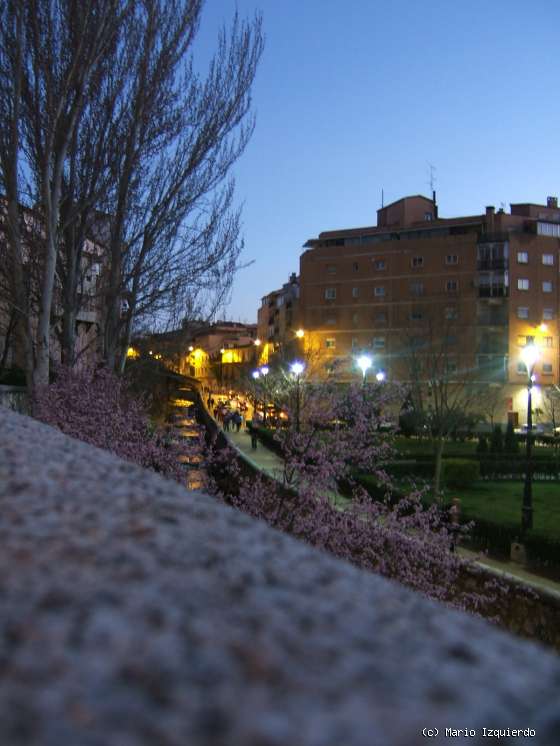 Cuenca (ciudad)