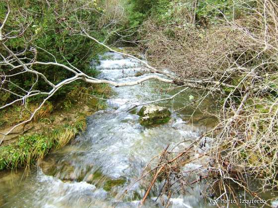 Nacimiento del Río Cuervo