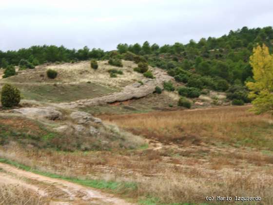 Chillarón - Sacedoncillo - Torralba: Neógeno