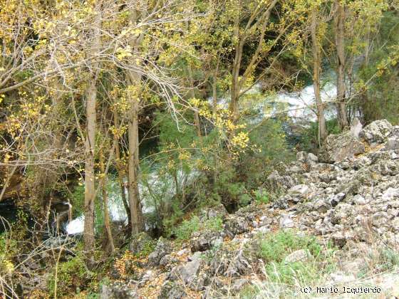 Priego: Hoz de Priego: Río Escabas