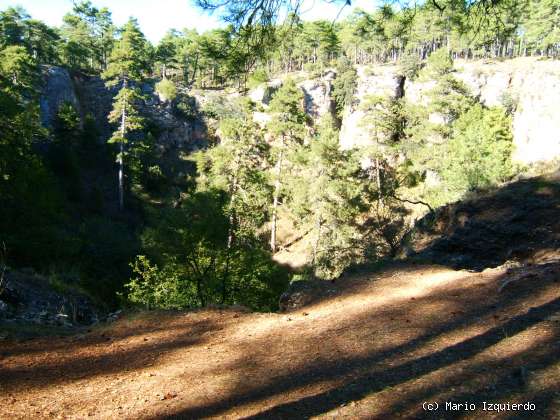 Torcas de los Palancares