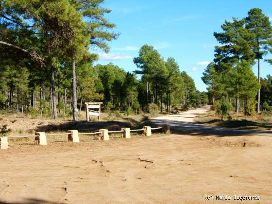 Torcas de los Palancares