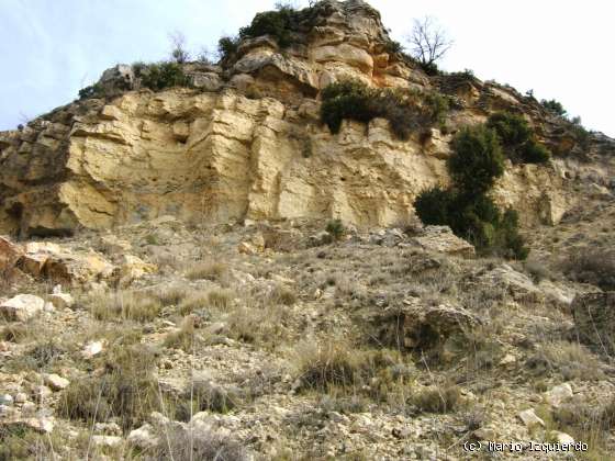 Valdecabras: Facies Weald - Utrillas