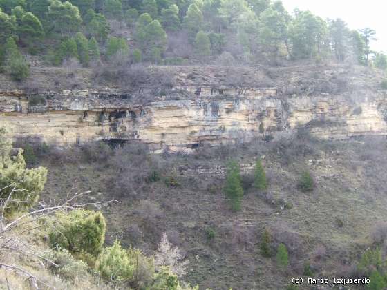 Valdecabras: Facies Weald - Utrillas