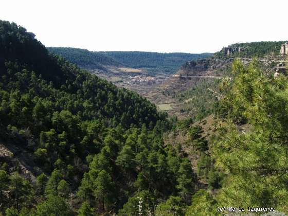 Valdecabras: Facies Weald - Utrillas