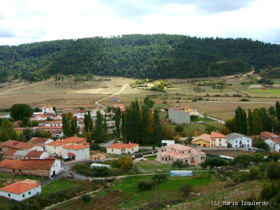 Vega del Codorno