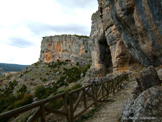 Vega del Codorno