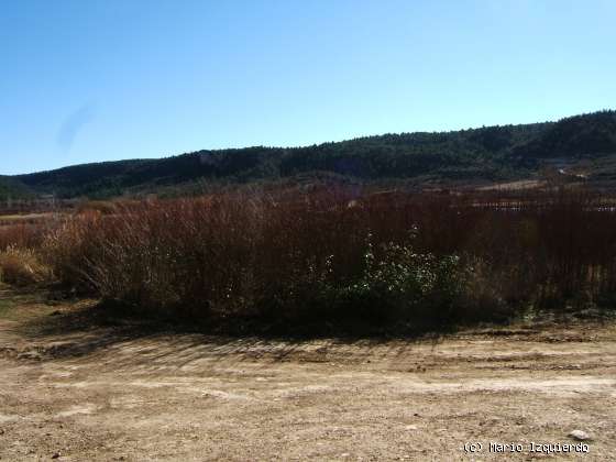 El Tobar: Laguna y tectónica