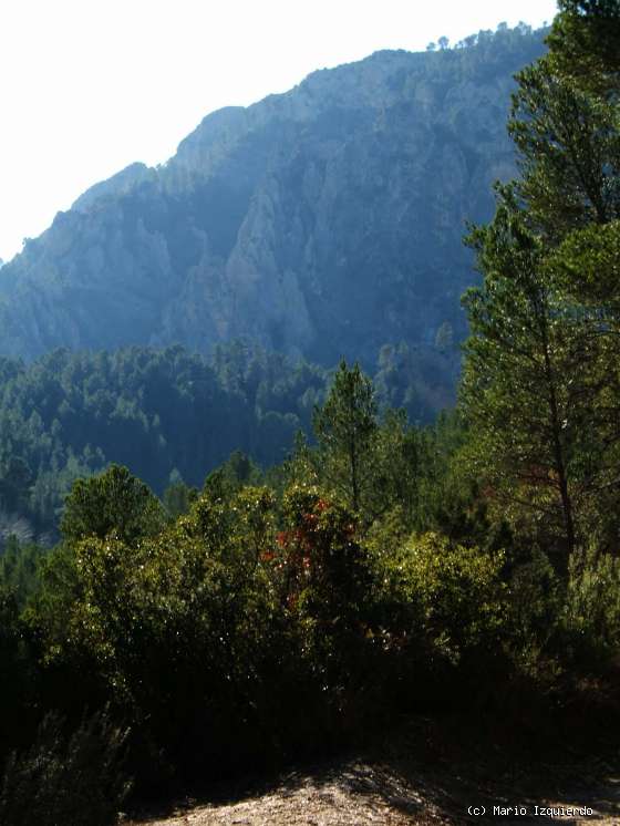 Minglanilla: Hoces del Río Cabriel