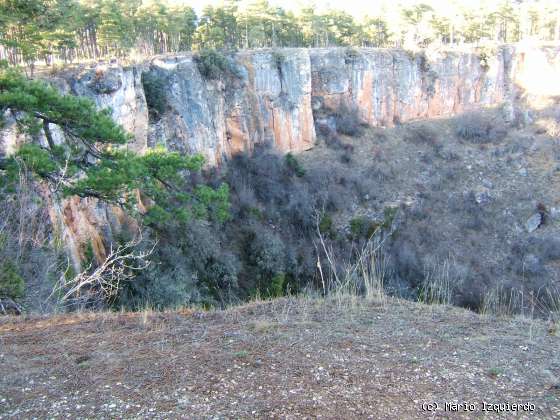 Torcas de los Palancares