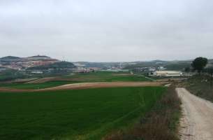 Pozo de Almoguera - Yebra - Almoguera: Silicificaciones y Yesos