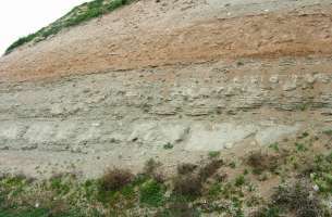 Pozo de Almoguera - Yebra - Almoguera: Silicificaciones y Yesos