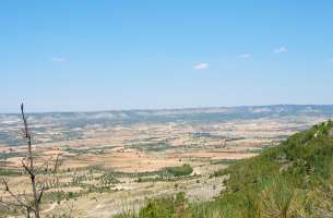 Sierra de Altomira: Cretácico