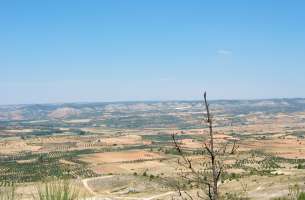 Sierra de Altomira: Cretácico