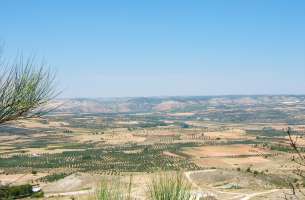 Sierra de Altomira: Cretácico