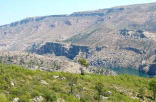 Sierra de Altomira: Cretácico