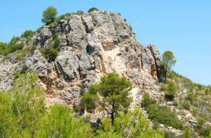 Sierra de Altomira: Cretácico