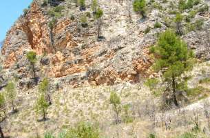 Sierra de Altomira: Cretácico