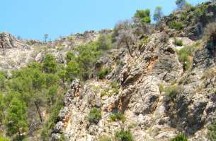 Sierra de Altomira: Cretácico