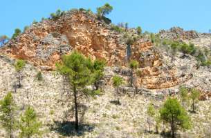 Sierra de Altomira: Cretácico