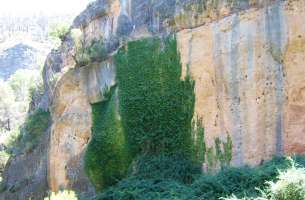 Sierra de Altomira: Cretácico