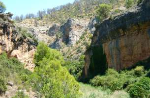 Sierra de Altomira: Cretácico