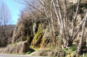 Brihuega: Tobas calcáreas