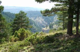 Cañon de la Hoz Seca