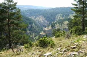 Cañon de la Hoz Seca