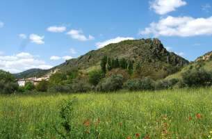 Durón: Anticlinal de Durón