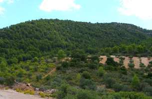 Cretácico: Sierra de Altomira - Entrepeñas