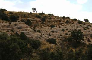 Huérmeces del Cerro