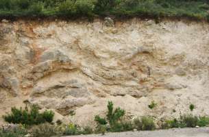 La Tajera: Muro del embalse a contrabuzamiento calizas Cretácico