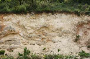 La Tajera: Muro del embalse a contrabuzamiento calizas Cretácico