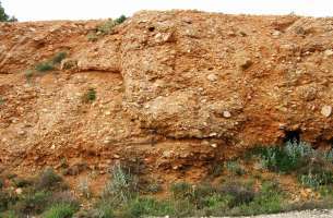 La Tajera: Muro del embalse a contrabuzamiento calizas Cretácico