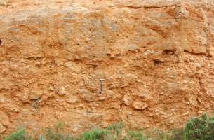 La Tajera: Muro del embalse a contrabuzamiento calizas Cretácico