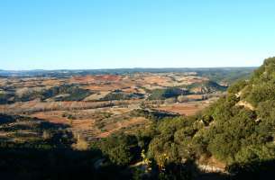 Mirabueno: Páramo y Valle del Río Dulce - Henares