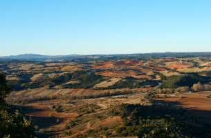 Mirabueno: Páramo y Valle del Río Dulce - Henares