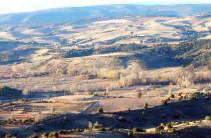 Mirabueno: Páramo y Valle del Río Dulce - Henares