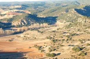 Mirabueno: Páramo y Valle del Río Dulce - Henares