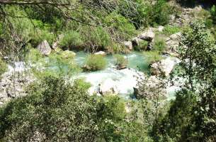 Ocentejo: Río Tajo