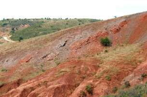 Geología de Pálmaces de Jadraque: Triásico