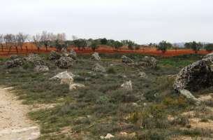 Pozo de Almoguera: Silicificaciones