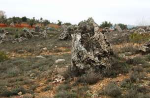 Pozo de Almoguera - Yebra - Almoguera: Silicificaciones y Yesos