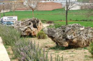 Pozo de Almoguera: Silicificaciones