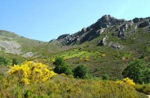 Valverde de los Arroyos: Anticlinorio de Galve