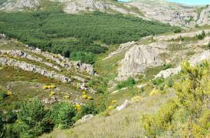 Valverde de los Arroyos: Anticlinorio de Galve