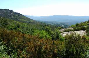 Valverde de los Arroyos: Anticlinorio de Galve