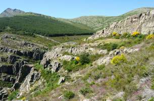 Valverde de los Arroyos: Anticlinorio de Galve