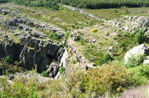 Valverde de los Arroyos: Anticlinorio de Galve